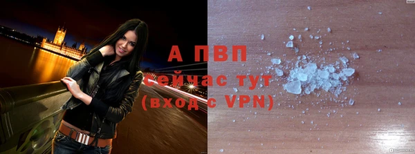 ПСИЛОЦИБИНОВЫЕ ГРИБЫ Карталы