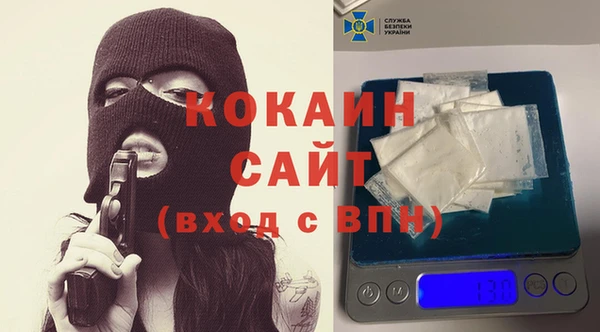 ПСИЛОЦИБИНОВЫЕ ГРИБЫ Карталы