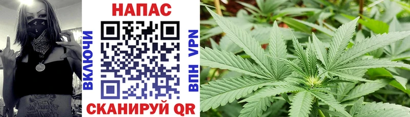 Купить  Слободской  МАРИХУАНА гибрид 